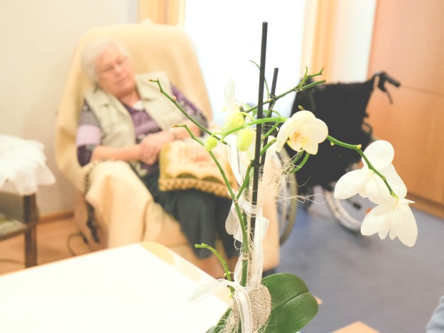 Eine ältere Frau schläft in einem Sessel neben einer Orchidee.
